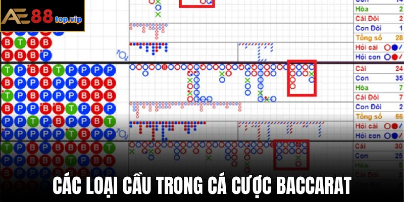 Có nhiều loại cầu xuất hiện trong sản phẩm cá cược