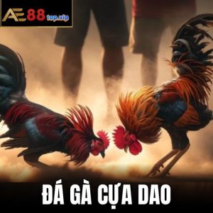 Ảnh Đại Diện Đá Gà Cựa Dao Trực Tuyến Tại AE888